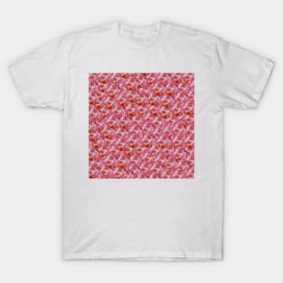 Salami T-Shirt